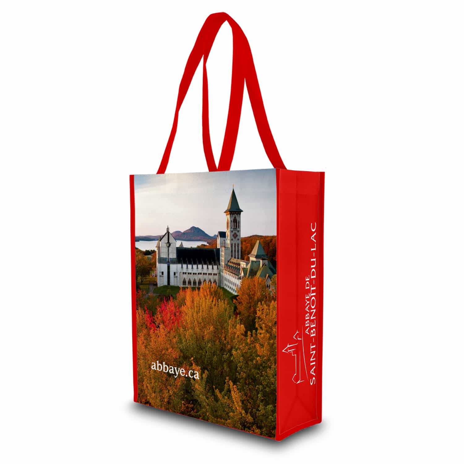 Sac réutilisable non tissé recyclé - Petit tote miniature 1